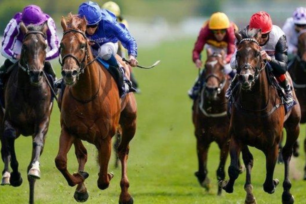 bbc sport horse racing