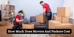 How Much Does Movers And Packers Cost (3)
