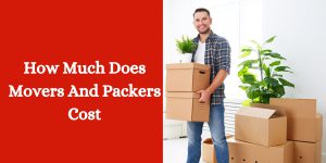 How Much Does Movers And Packers Cost