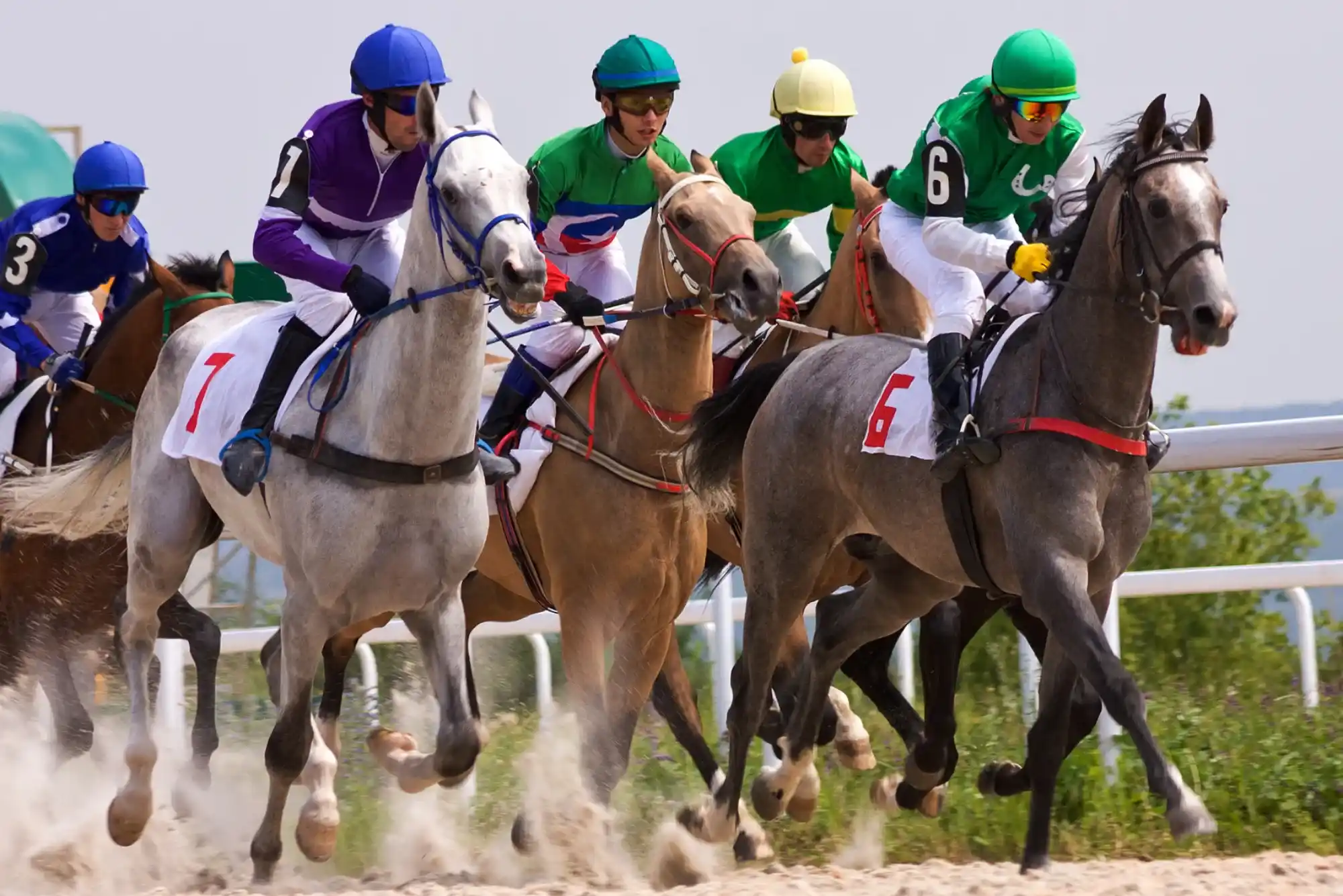 Which Betting Sites Are Best for Horse Racing