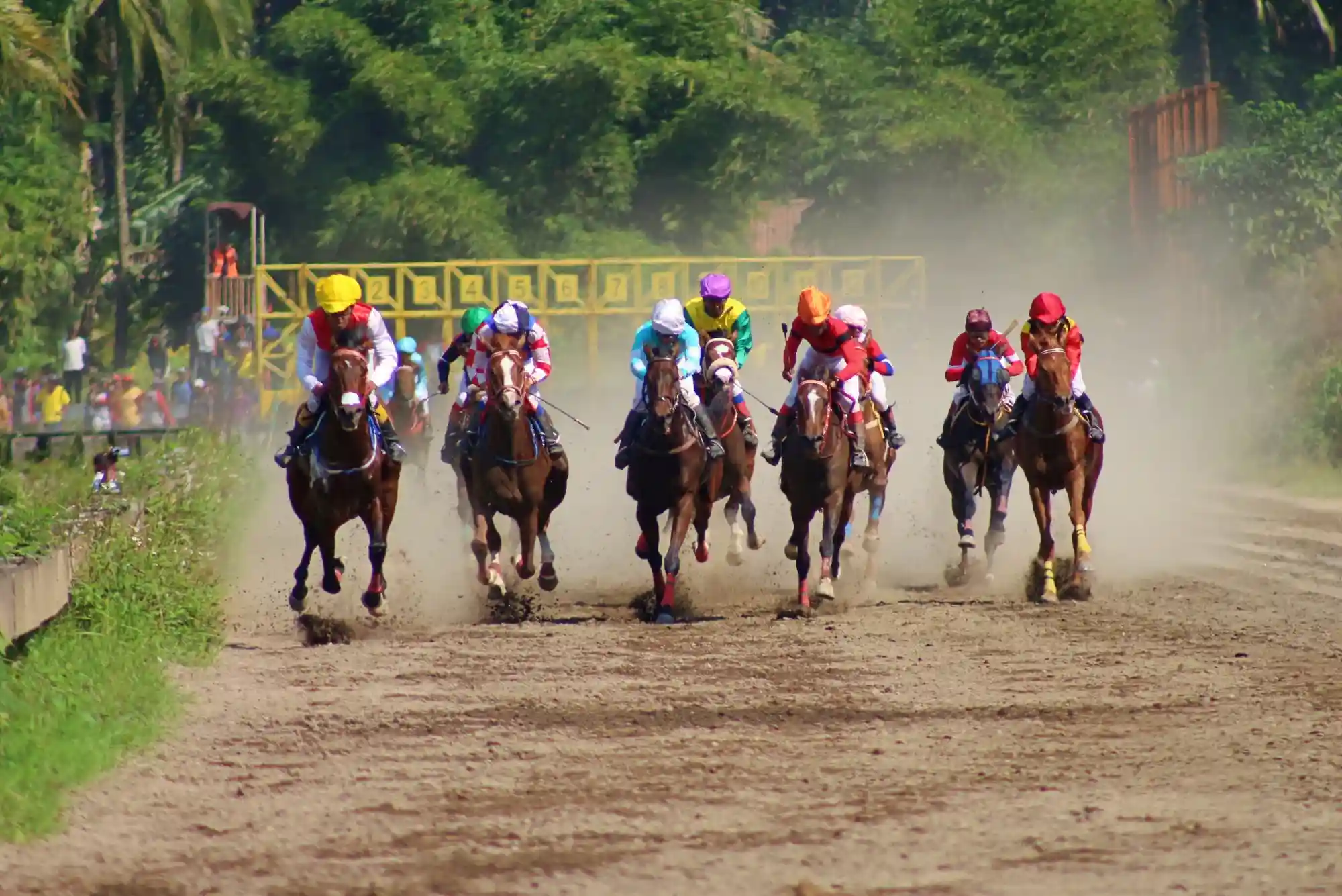 How Do Horse Racing Betting Odds Work